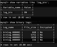 MySQL中的binlog日志操作示例