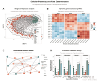 如何使用R语言绘制Nature级别的图片