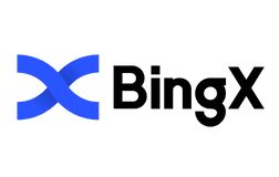 bingx 交易所