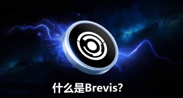 什么是 brevis 网络？zk 引擎助力数据驱动型应用，一文介绍