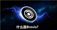 什么是 Brevis 网络？ZK 引擎助力数据驱动型应用，一文介绍