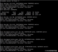 Linux新磁盘到扩容到已有目录方式