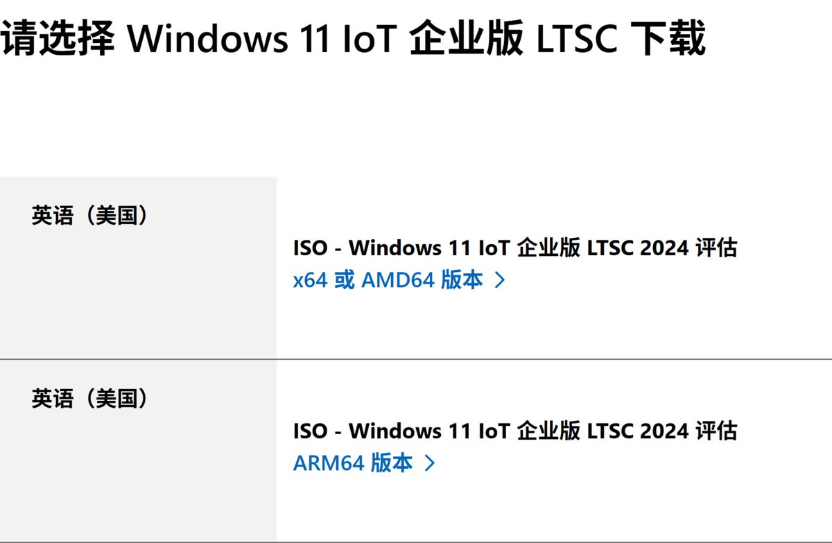 外媒眼中目前最纯净 Windows 11 官方装机方案: Win11 LTSC