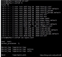 linux下如何启动vue服务