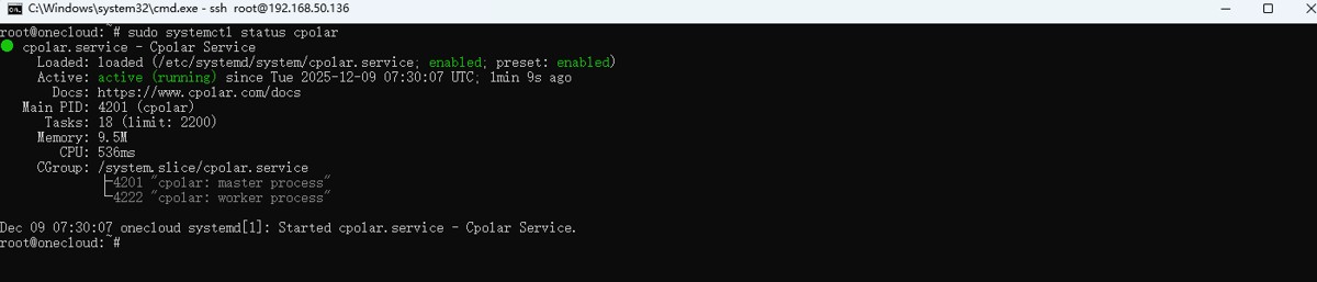 5.2 安装cpolar_图3