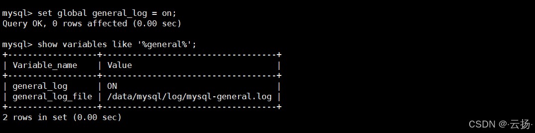 2.2.3 开启 general log(可选,用于问题排查)