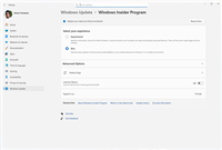 简化频道+全量推送+切换更顺! 微软提升Win11预览版体验