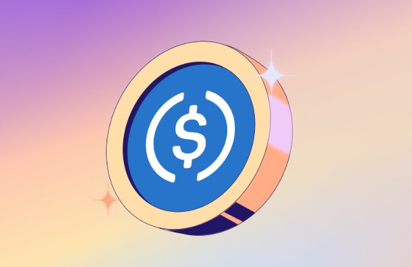 usdc在二月份稳定币月度交易量创下新高