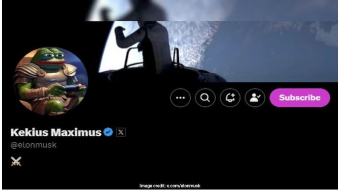 kekius maximus 和 pepe（2024 年 12 月/2025 年 1 月）：