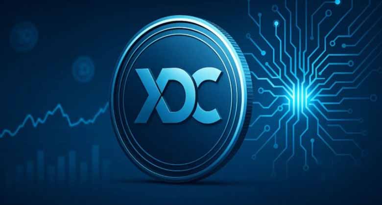 xdc网络（xdc）币：为贸易融资缺口打造的混合区块链，一文详解