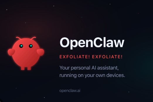 新手教程：如何用openclaw接入polymarket与hyperliquid？