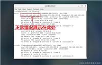 Linux中ifconfig看不到ip的问题及解决过程