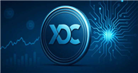 XDC Network（XDC）币：为贸易融资缺口打造的混合区块链，一文详解