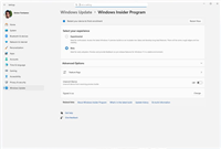 简化Insider通道+不再强求更新! 微软公布Windows11质量更新进展简化