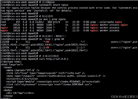 Nginx&nbsp;1.28.0&nbsp;源码编译安装与自定义网页部署详细指南