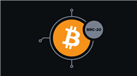 什么是BRC-20？一文看懂它的运作原理、应用场景与投资前景
