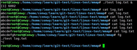 Linux系统调用mmap的基本概念和使用方法