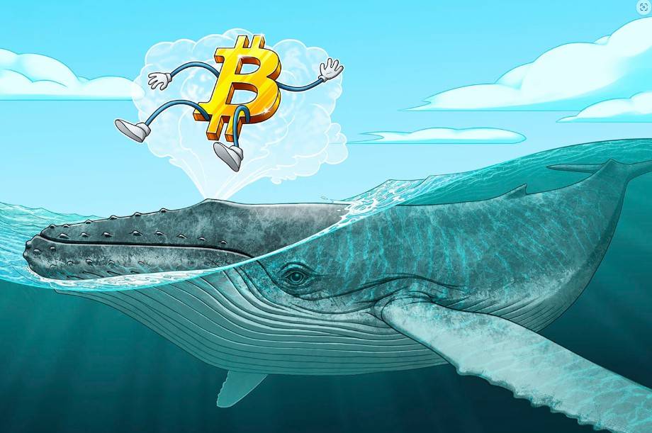 链上数据预警:5万枚比特币(btc)深陷亏损泥潭,新一轮投降抛售风险逼近市场