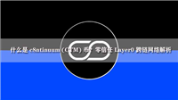 什么是 c8ntinuum (CTM) 币？零信任 Layer0 跨链网络解析