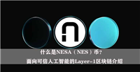 什么是NESA（NES）币？面向可信人工智能的Layer-1区块链介绍