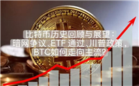 比特币历史回顾与展望：暗网争议、ETF通过、川普政策，BTC如何走向主流？