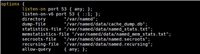 Linux环境下DNS服务器搭建全过程