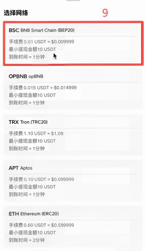 币安提币到bybit,选bsc网络手续费不到一毛钱_图7