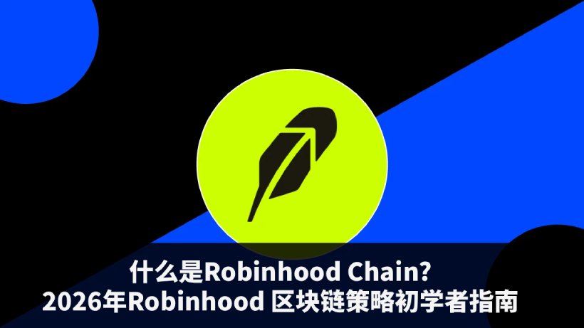 robinhood chain全面解析