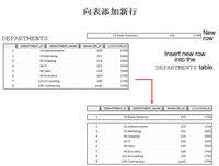 Oracle之使用DML语言管理表指南