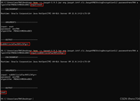 SpringBoot结合jasypt进行配置文件加解密的方法步骤