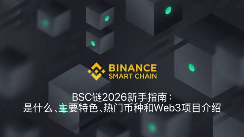 bsc链2026新手指南:是什么、主要特色、热门币种和web3项目介绍