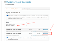 MySQL8.0版本详细安装配置教程(含详细图文)
