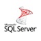 Microsoft SQL Server 2008