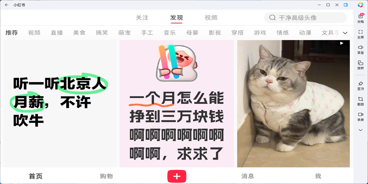 小红书应用电脑版截图1