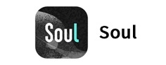 soul应用电脑版