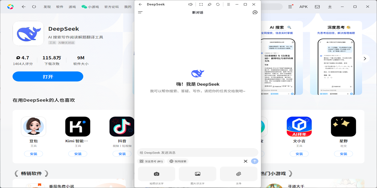 deepseek应用电脑版截图8