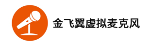 金飞翼虚拟麦克风64位(金飞翼虚拟声卡)