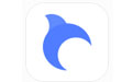 billfish