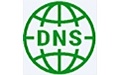 dns chooser