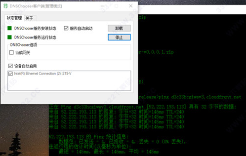 dns chooser