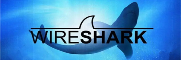 wireshark电脑版