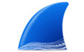 wireshark pc端
