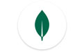 mongodb compass