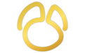navicat premium
