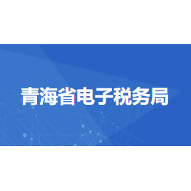 青海省电子税务局