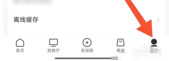 西瓜视频下载
