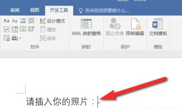 word2016,word2016最新下载