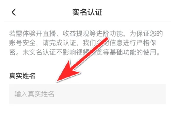 西瓜视频下载