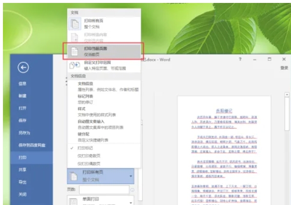 word 2016,word 2016最新下载
