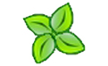 xlight ftp server